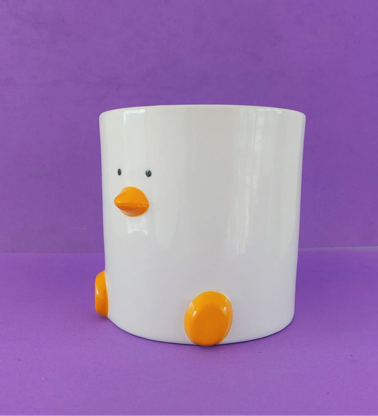 Duck Plant Pot