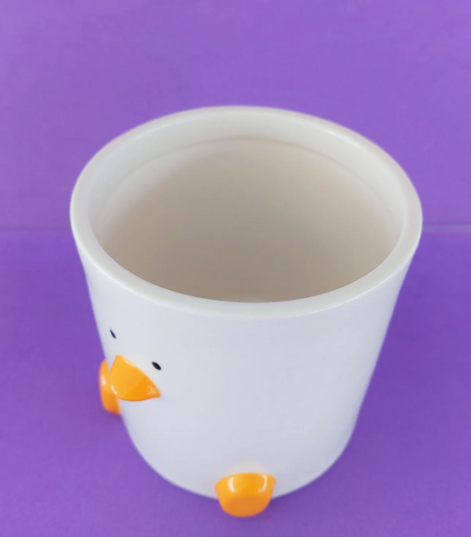 Duck Plant Pot