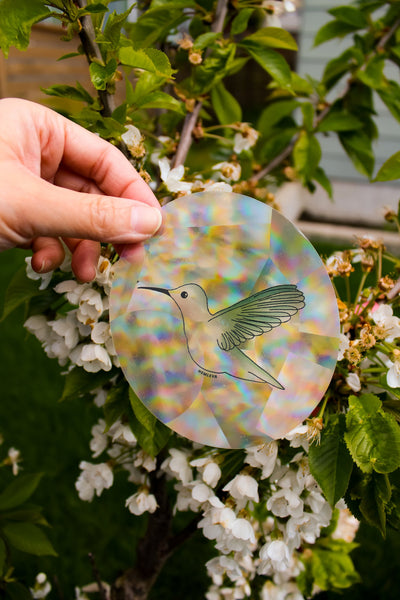 Hummingbird • Suncatcher
