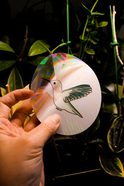 Hummingbird • Suncatcher