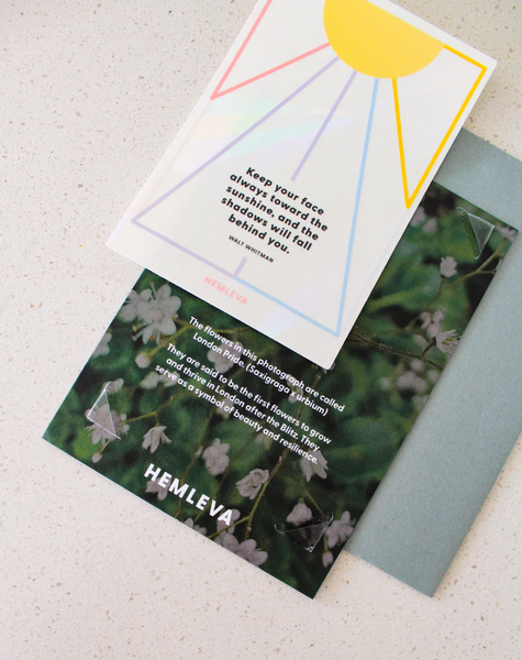 Suncatcher Greeting Card • Walt Whitman