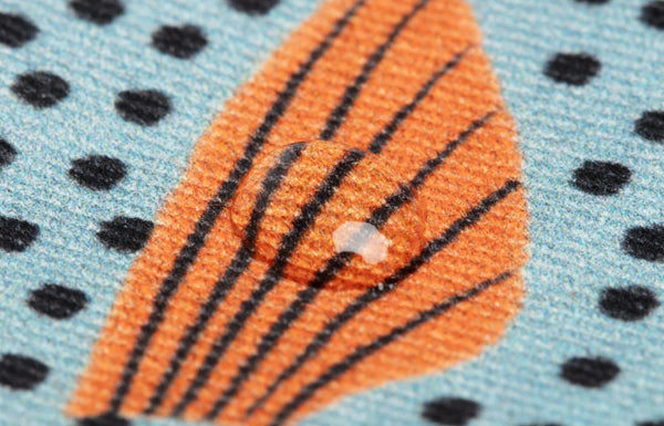 Sweeper Fish Purse / Keychain - Aqua