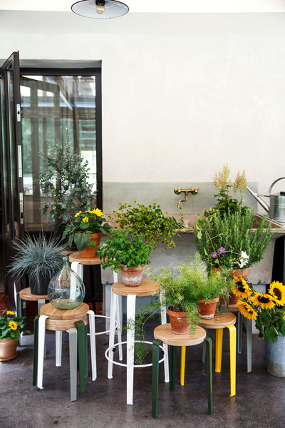 (WAREHOUSE SALE) LOU Stool (Beech)