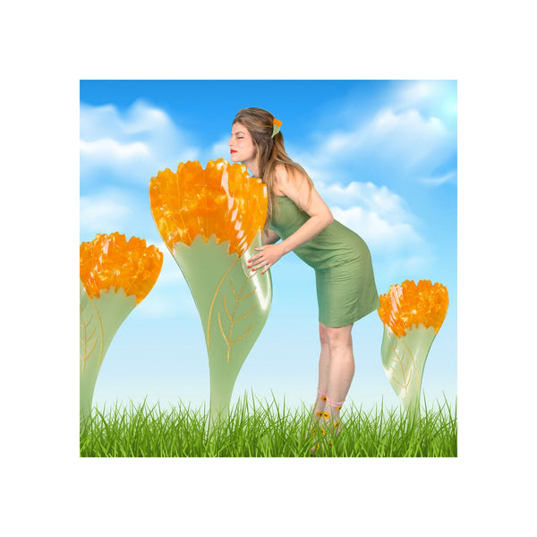 Calendula Hair Claw