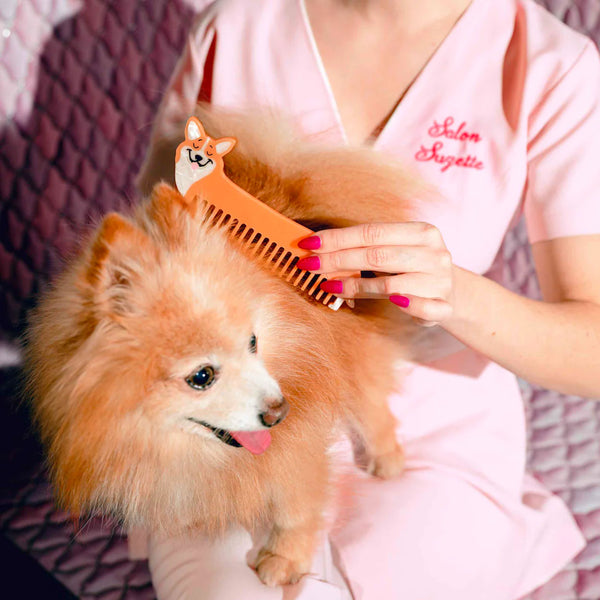 Corgi Comb