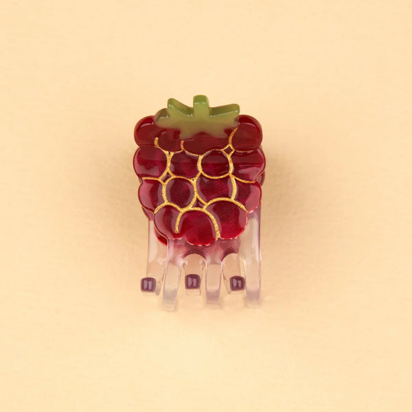 Raspberry Mini Claw