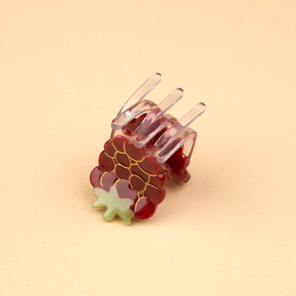 Raspberry Mini Claw