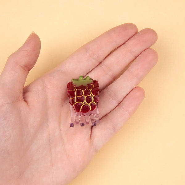 Raspberry Mini Claw