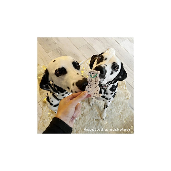 Dalmatian Hair Claw