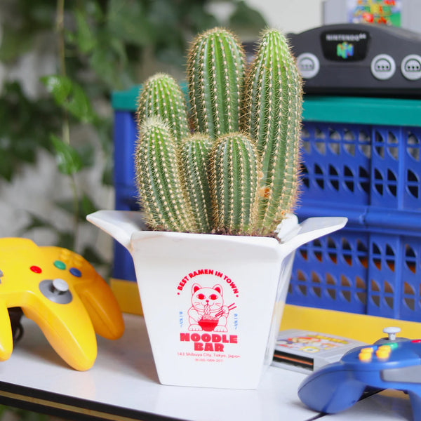(SECONDS SALE) Ramen Vase