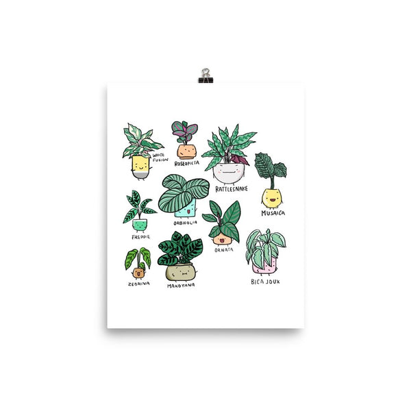 Plant Family Series Art Print