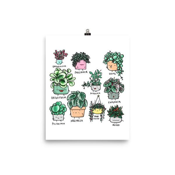 Plant Family Series Art Print