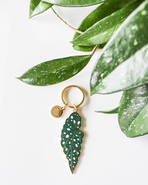 Begonia Maculata Keychain