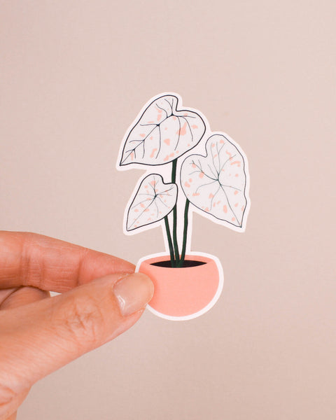 Caladium Sticker