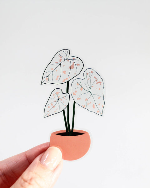 Caladium Sticker