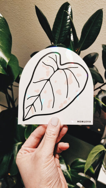 Caladium • Suncatcher