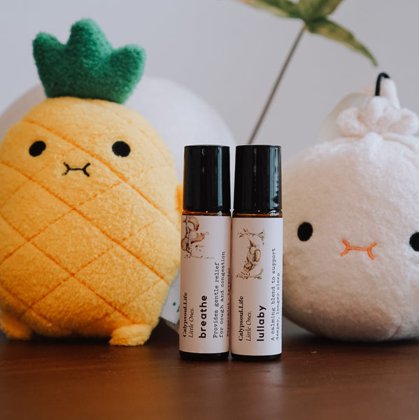 Hey Little Ones Gift Set (Heyhappypuff x Calypsoul Life)