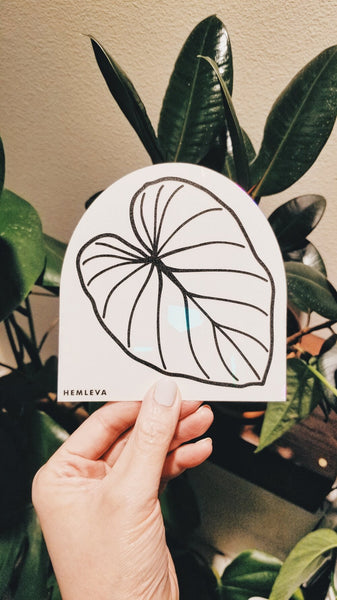 Gloriosum • Suncatcher