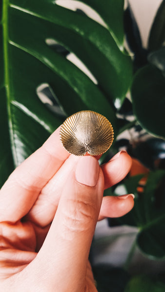 Licuala Cordata Palm Pin