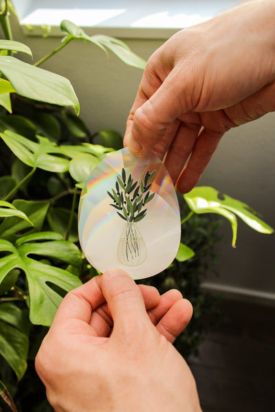 Olive Branch Suncatcher • Card Insert