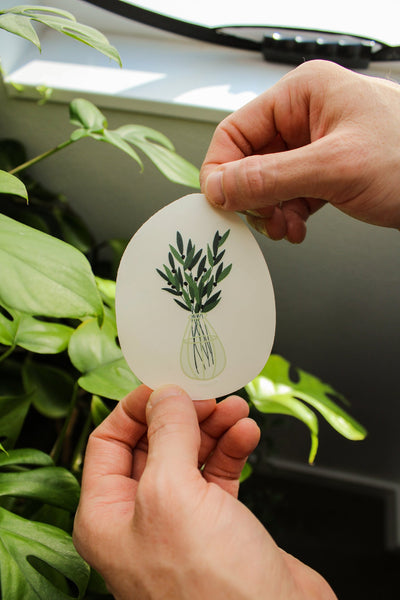 Olive Branch Suncatcher • Card Insert
