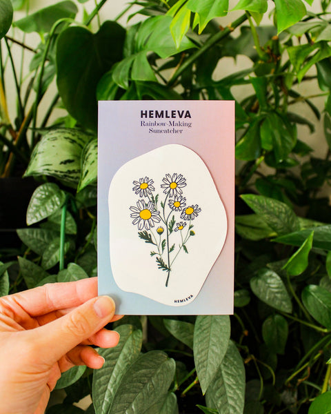 Daisy Suncatcher • Card Insert