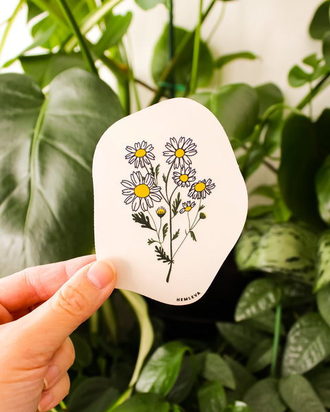 Daisy Suncatcher • Card Insert