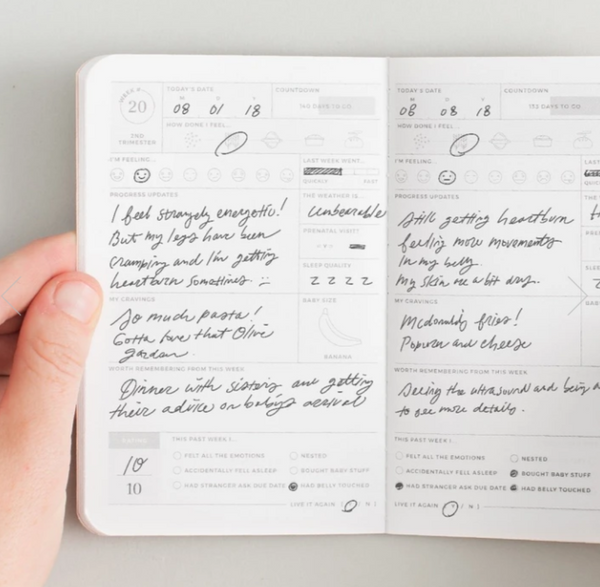 (SECONDS) Letterfolk Pregnancy Passport