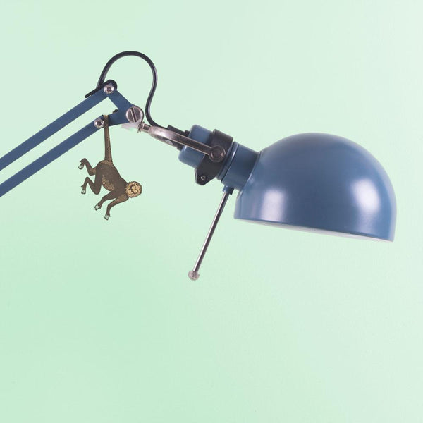 Plant Animal - Spider Monkey
