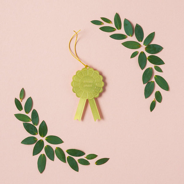 Plant Awards - Dream Plant