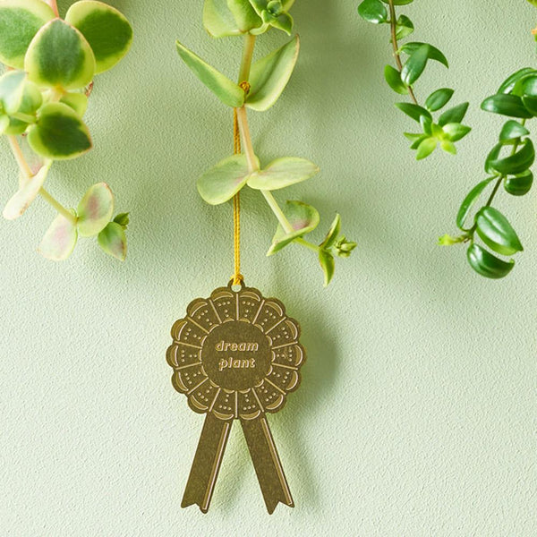 Plant Awards - Dream Plant