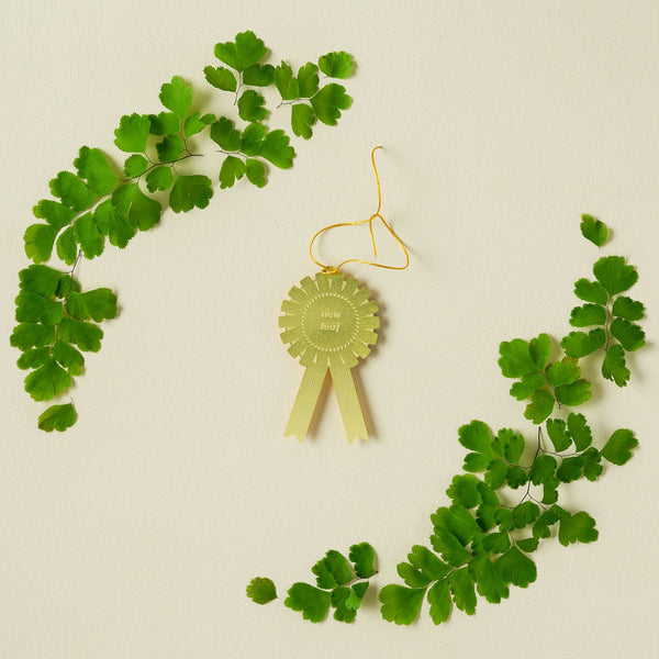 Plant Award - New Leaf