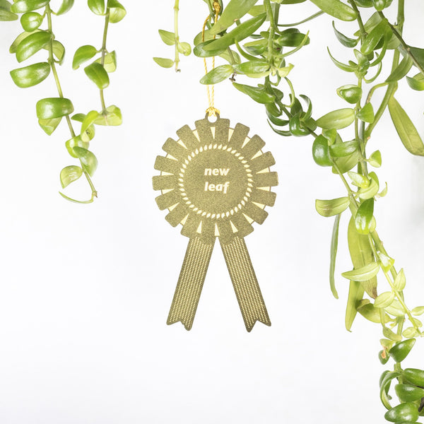 Plant Award - New Leaf