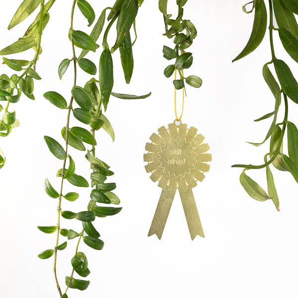 Plant Award - Still Alive