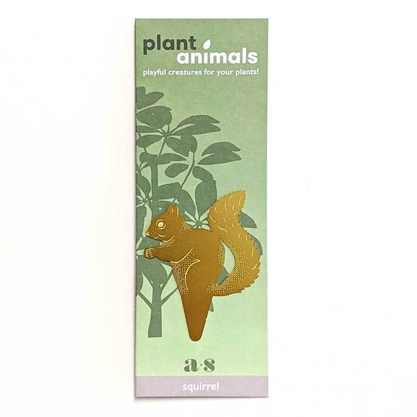 Plant Animal - Squirrel