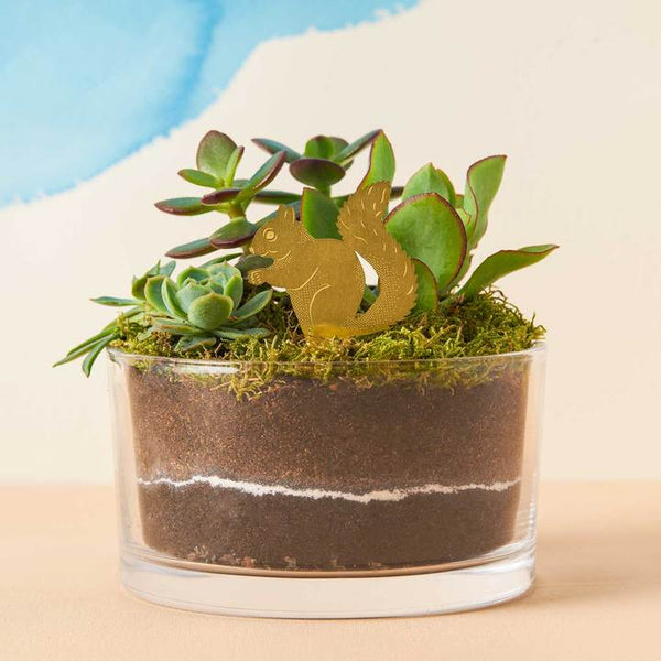 Plant Animal - Squirrel