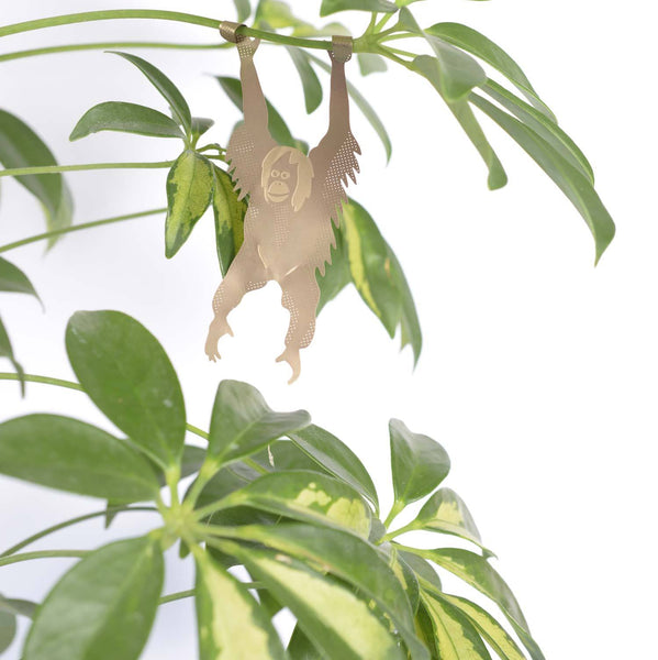 Plant Animal - Orangutan