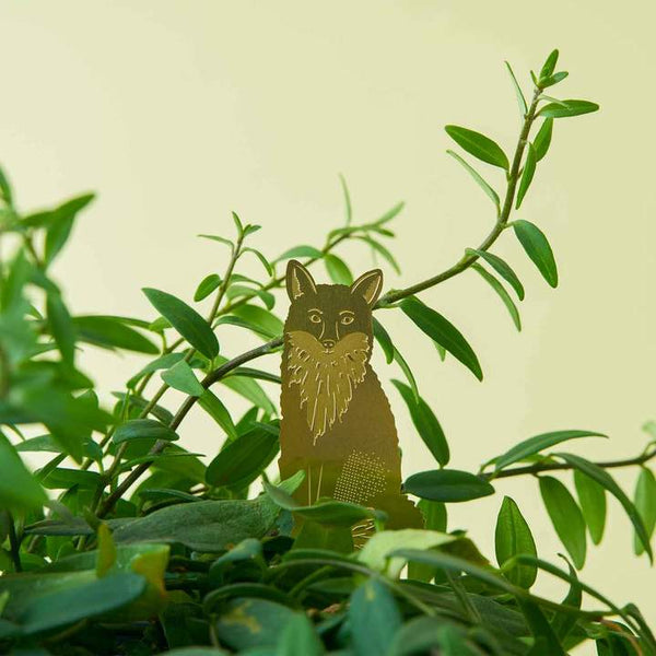 Plant Animal - Fox
