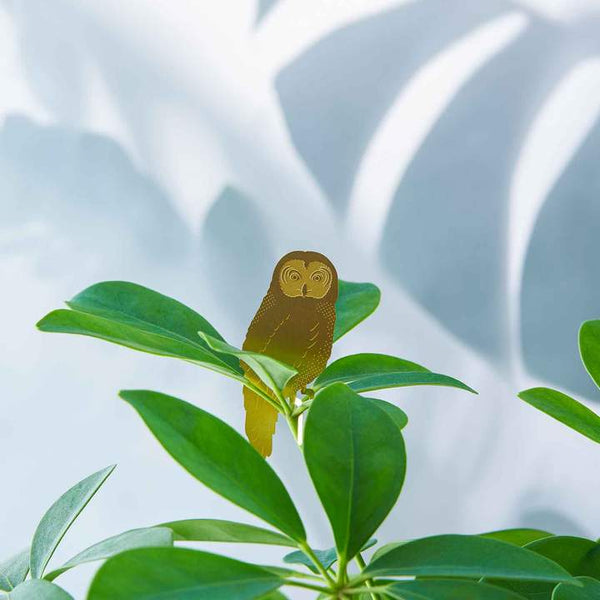 Plant Animal - Owl