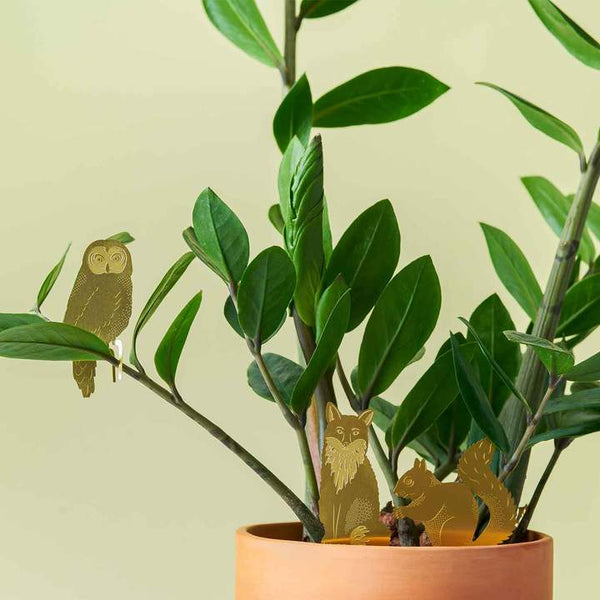 Plant Animal - Owl