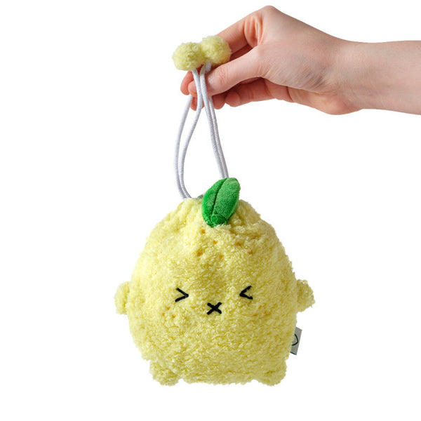 Fruit Pouch