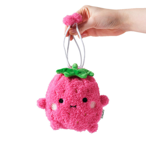 Fruit Pouch