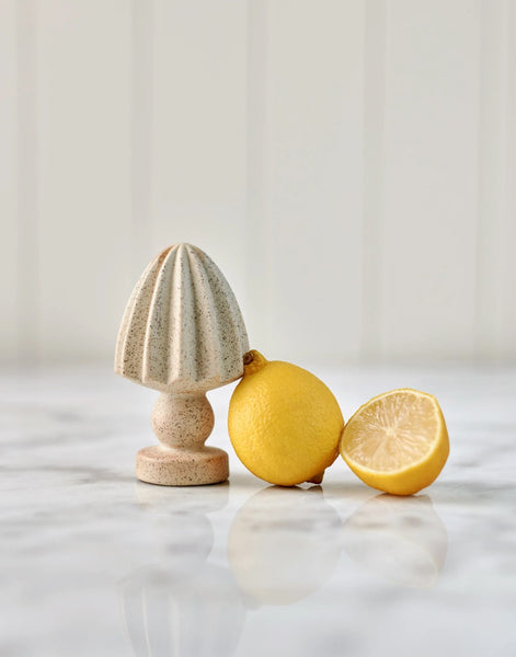 Hand Juicer (Handy Little Things)
