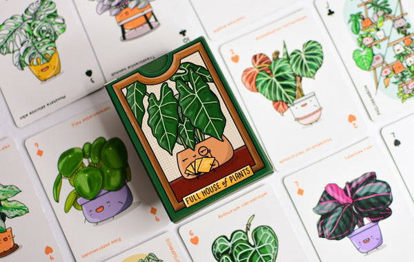 Full House of Playing Cards