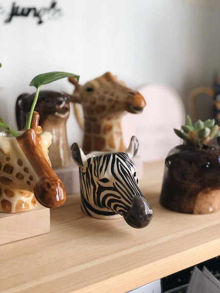 (WAREHOUSE SALE) Egg Cup