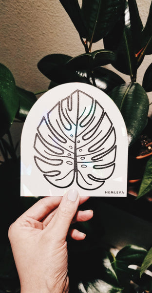 Monstera • Suncatcher