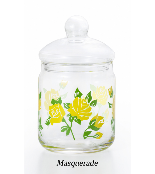 Aderia Retro Glass Jar with Glass Lid - Tall