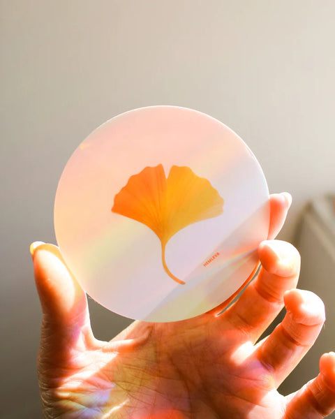 Ginkgo Suncatcher • Card Insert