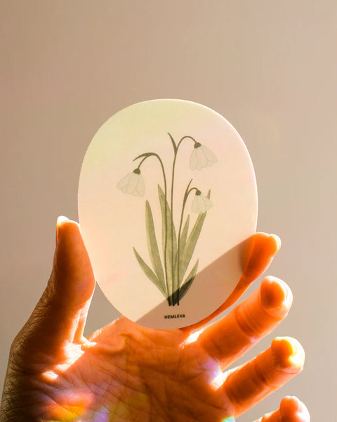 Snowdrop Suncatcher • Card Insert