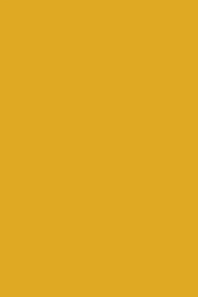 (PRE-ORDER) The Ledge in Mustard